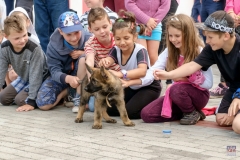ZOS SENICA_KTO NAS CHRANI 2016_148