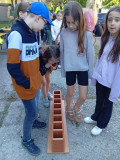 IMG_20260520_084411