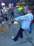 IMG_20260520_094507
