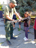 IMG_20260520_095838