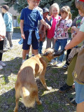 IMG_20260520_104731