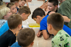 ZOS00111