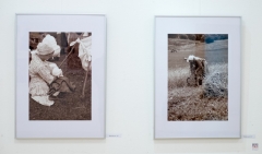 ZOS SENICA_VYSTAVA JARABAK 2017_08