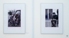 ZOS SENICA_VYSTAVA JARABAK 2017_11