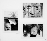 ZOS SENICA_VYSTAVA JARABAK 2017_17