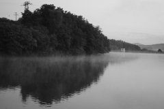 DSC_0750