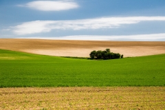 _Ovecka_04