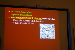 IMGP0130