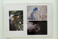 05_ZOS-SENICA_NS2014