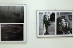 15_ZOS-SENICA_NS2014