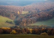 balaz_peter_1-srnka
