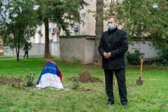 zos_karol_borik-5