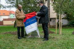 zos_karol_borik-8