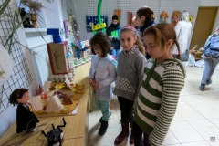 ZOS SENICA_ODPADACIK 2017_004