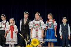 ZOS06994_Edit