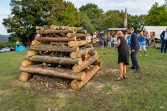 zos_snp_2022-90