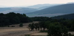 DSC_8956_upr2