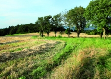LU-Plener-Rozbehy-11