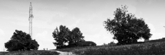 MG_0005-