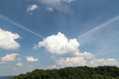 Vecko