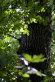 Vondrova_IMG_1515