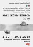 zos_nahlikova_senica_2018_plagat