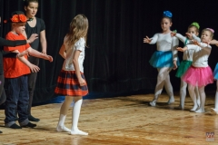 ZOS SENICA_SDJ2018_014