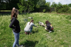 exkurzia_dropie-6