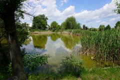 exkurzia_dropie-9