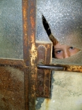 _Tobik_02