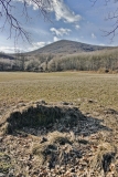 _Tobik_06
