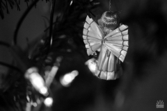_ZOS SENICA_VANOCE PO STAREM_ 046