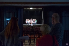 ZOS SENICA_DFS SKALICA 2017_009