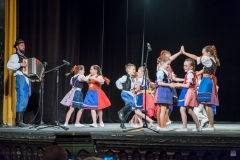 ZOS SENICA_DFS SKALICA 2017_023