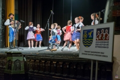 ZOS SENICA_DFS SKALICA 2017_024