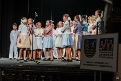 ZOS SENICA_DFS SKALICA 2017_031