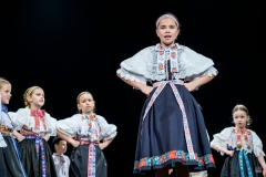 ZOS SENICA_DFS SKALICA 2017_041