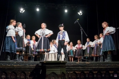ZOS SENICA_DFS SKALICA 2017_043
