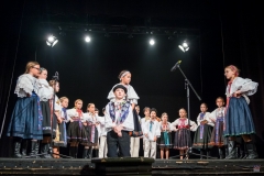 ZOS SENICA_DFS SKALICA 2017_044