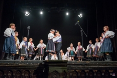 ZOS SENICA_DFS SKALICA 2017_045