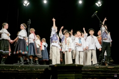 ZOS SENICA_DFS SKALICA 2017_048