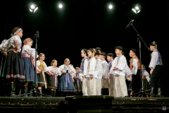 ZOS SENICA_DFS SKALICA 2017_049