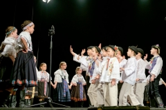 ZOS SENICA_DFS SKALICA 2017_050