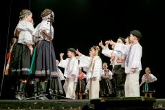ZOS SENICA_DFS SKALICA 2017_051