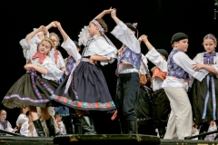 ZOS SENICA_DFS SKALICA 2017_059