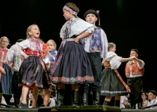 ZOS SENICA_DFS SKALICA 2017_061