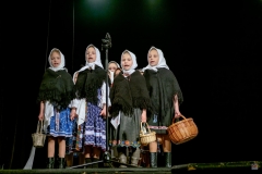 ZOS SENICA_DFS SKALICA 2017_063