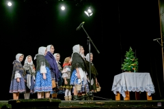 ZOS SENICA_DFS SKALICA 2017_064