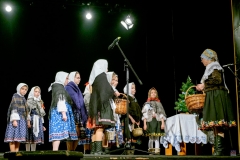 ZOS SENICA_DFS SKALICA 2017_065