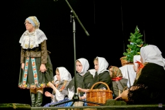 ZOS SENICA_DFS SKALICA 2017_067